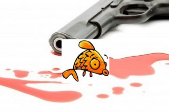 GUINÉE : Un poisson dÂ’Avril a failli tuer un animateur Radio !