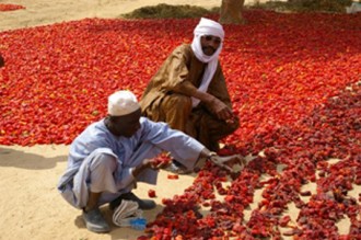 LÂ’or rouge du Niger