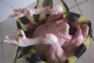 Le poulet est rare et coûte cher