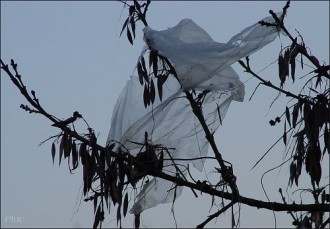 Plus de sac plastique au Gabon