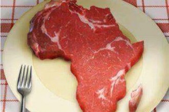 TRIBUNE GABON: Comment l'Afrique est devenue le steak saignant de certaines ONG occidentales