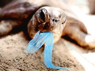 TRIBUNE GABON: Nous voulons éradiquer le sac plastique dans ses formes les plus polluantes