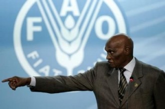 SENEGAL: Wade: « La Fao est inutile » 