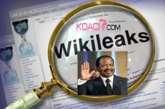CAMEROUN: La polémique fait rage au sujet d'un cà¢ble diplomatique relayé par Wikileaks.
