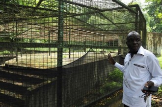 COTE D'IVOIRE : Le zoo dÂ’Abidjan à  la recherche de sa splendeur