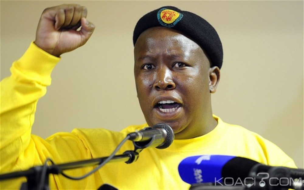 Afrique du Sud : Résidence de Nkandla, Julius Malema saisit la justice contre le Président Zuma