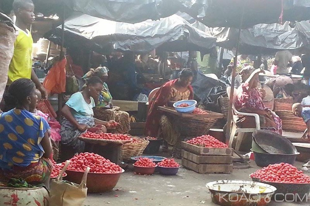 Côte d'Ivoire:  Adjamé, un conflit foncier menace l'approvisionnement des marchés en vivriers dans les prochains jours