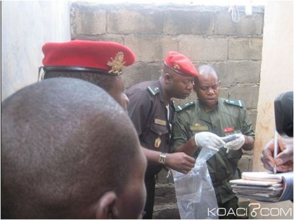 Cameroun : Douala, la gendarmerie rattrape un gang de  présumés malfaiteurs récupère le butin, met la main sur des armes et des munitions