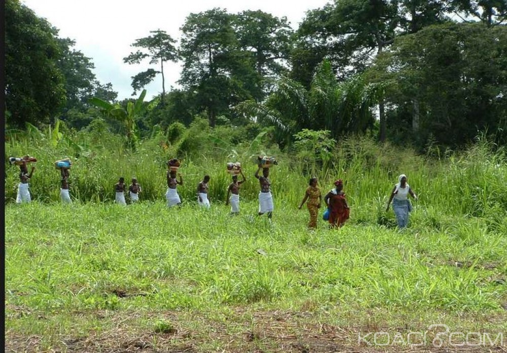 Côte d'Ivoire : La cause de l'intoxication alimentaire à  Tiassalé qui a fait 7 morts dans un village