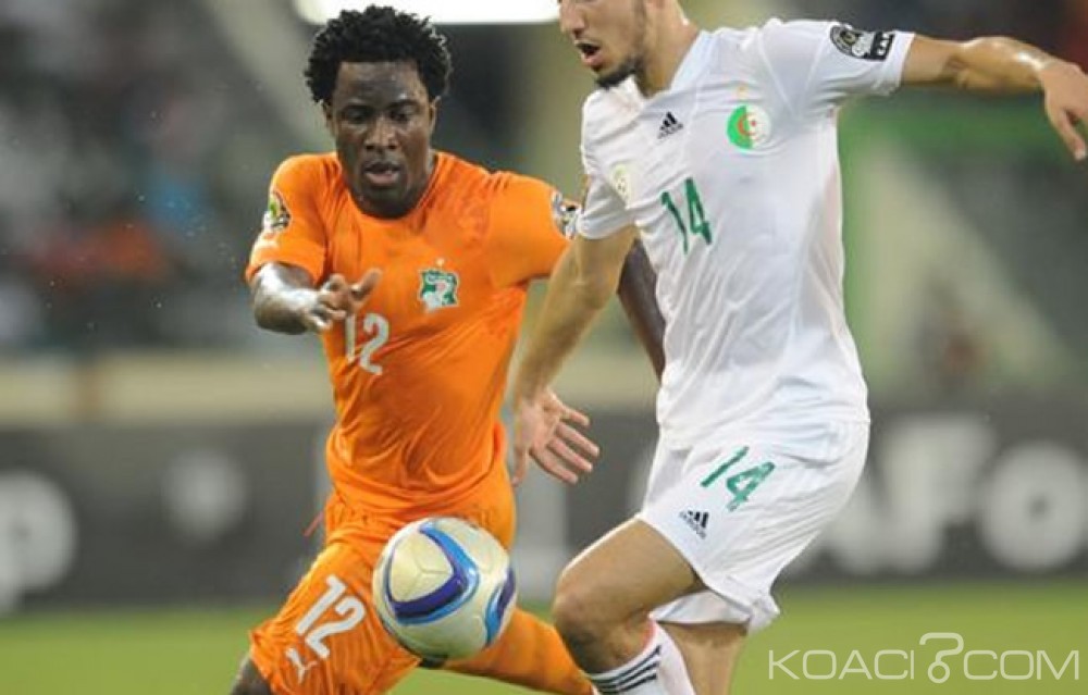 Côte d'Ivoire : Classement FIFA, éléphants et Fennecs toujours au coude à  coude