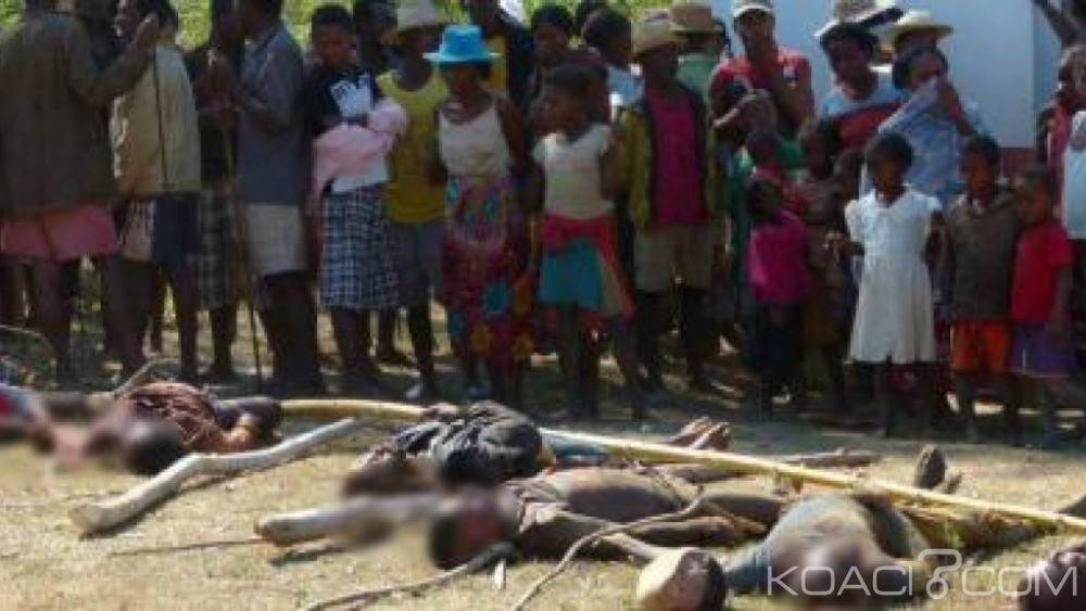 Madagascar :  18 morts  dans des heurts entre voleurs de zébus et gendarmes
