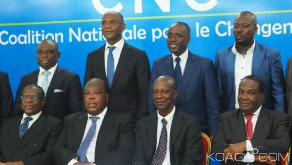 Côte d'Ivoire : Présidentielles 2015, vers la désignation d'un candidat unique de la CNC