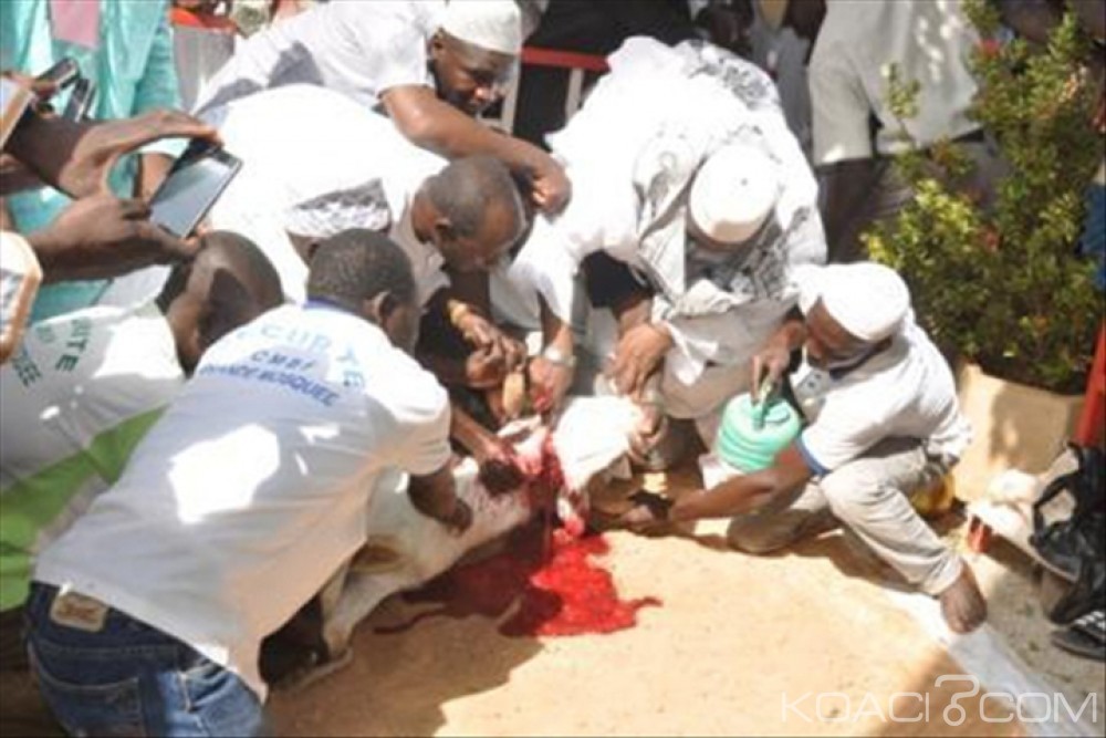 Sénégal: La Tabaski ou fête du mouton sera une fois encore célébrée dans la division