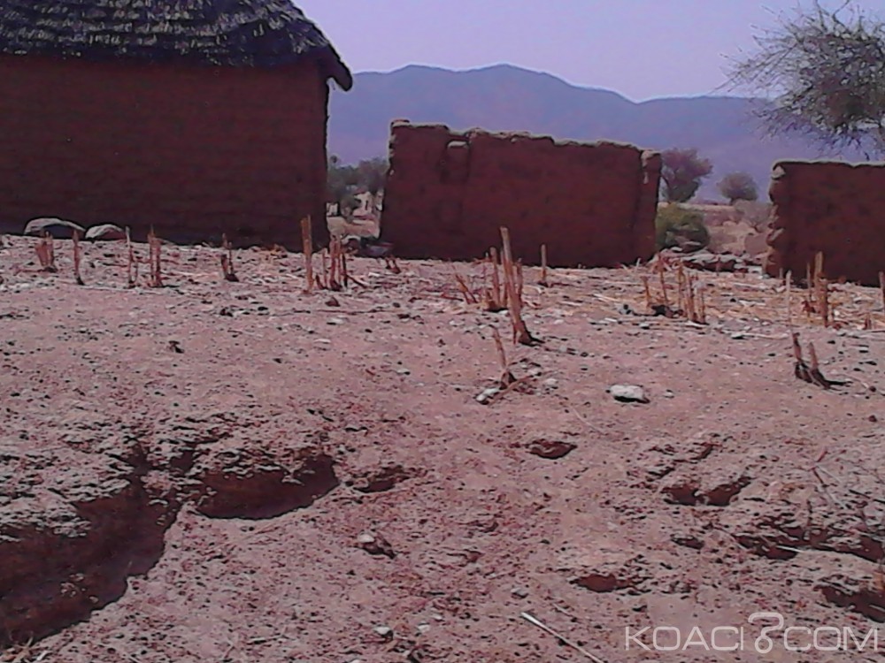 Cameroun : Warani, trois éleveurs tués dans une attaque attribuée à  Boko Haram