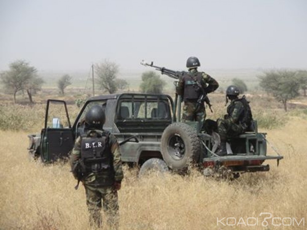 Cameroun : Attentat déjoué, une vingtaine de combattants Boko Haram tués, un ex-sergent de l'armée interpellé en possession  d'explosifs