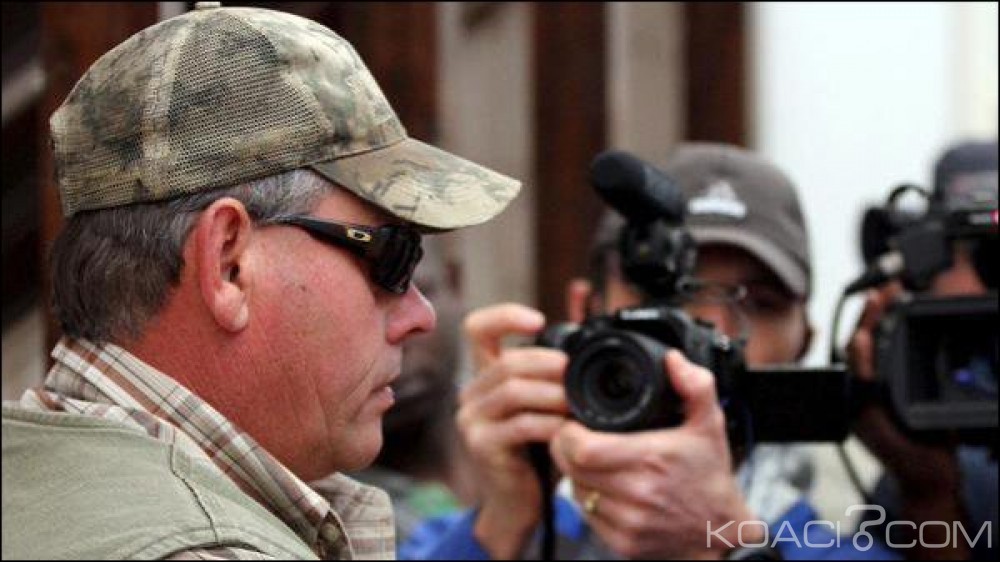 Zimbabwe : L'organisateur du safari fatal  au  lion Cecil libéré sous caution