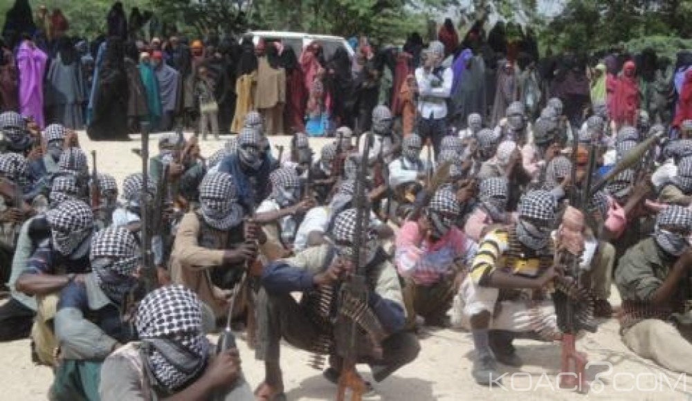 Nigeria : Boko Haram empoisonne des sources d' eau dans le Nord est