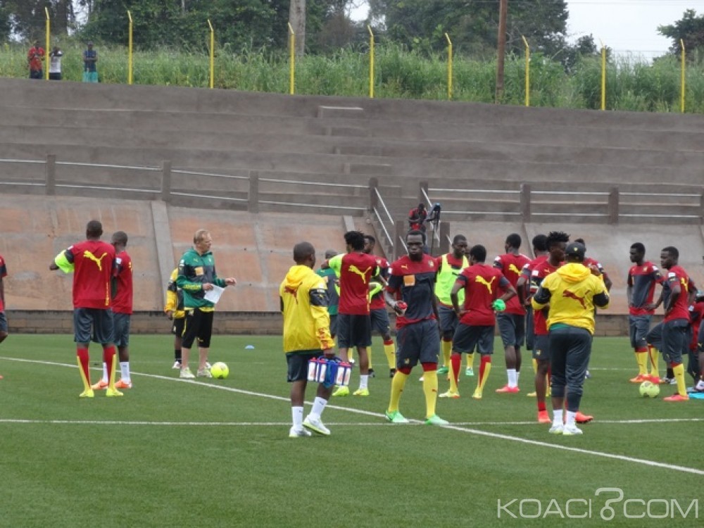Cameroun-Nigeria : Amical Lions indomptables vs Super Eagles, ce qu'il faut savoir
