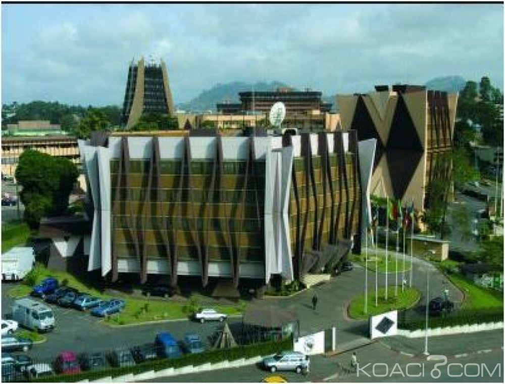 Cameroun : Selon la Beac, le pays exporte 6666 tonnes au cours du premier mois de la campagne 2015-2016