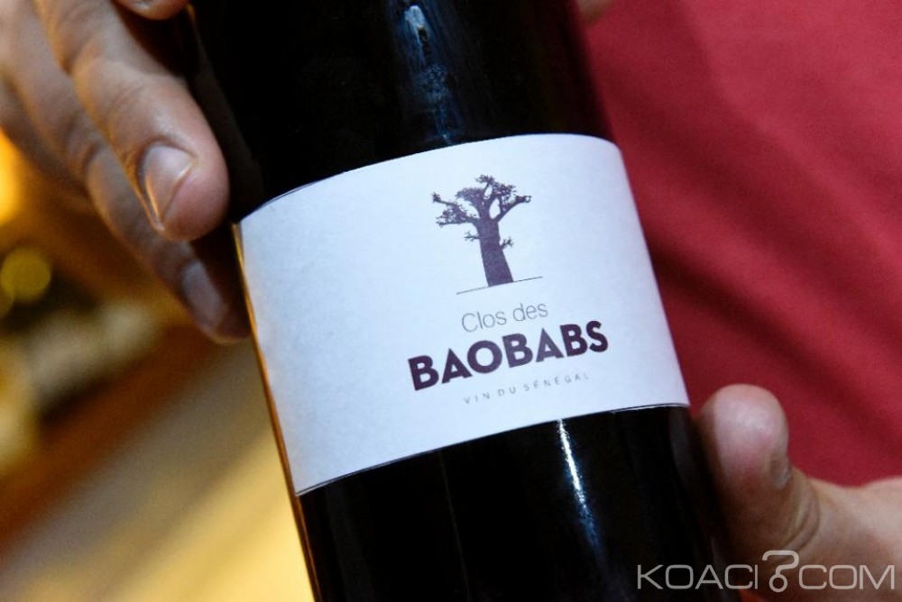 Sénégal: Le Clos des Baobabs: premier vignoble made in Sénégal