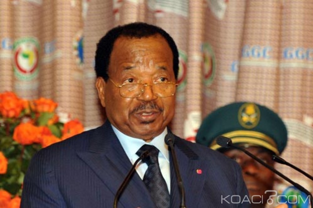 Cameroun : Renouvellement des organes du Rdpc, les partisans de Biya l'habillent du manteau de démocrate