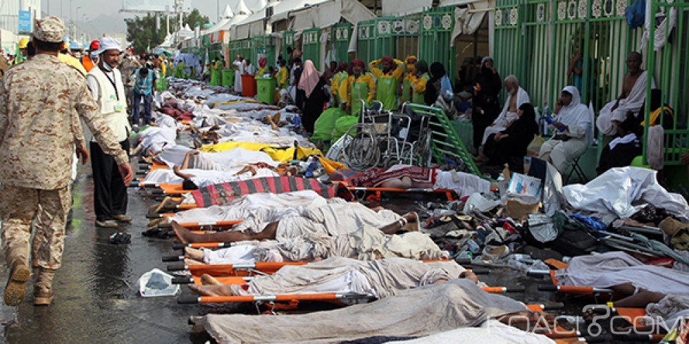 Monde : Le drame de Mina devient le plus meurtrier de l'histoire du Hajj avec 1587 morts