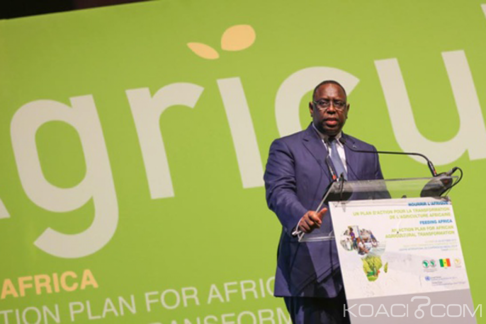 Sénégal : Secteur Agricole, le Président Sall  juge l'implication des banques commerciales insuffisante et invite à  accompagner le secteur