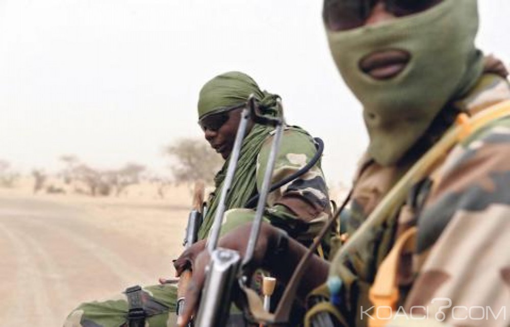 Niger : Treize villageois exécutés lors d'une attaque islamiste près de Diffa