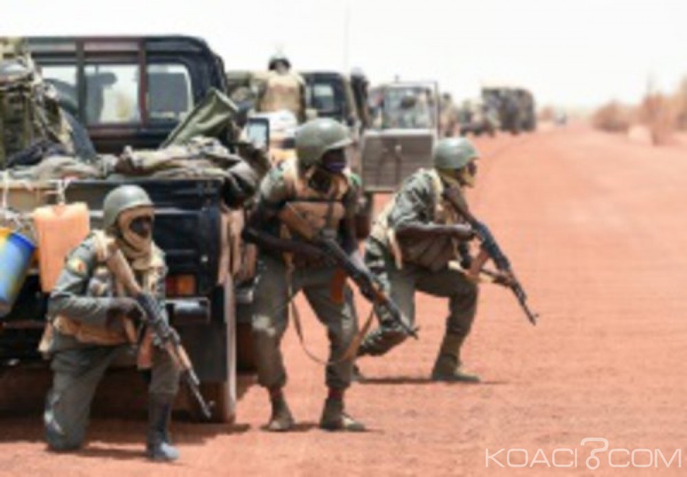 Mali : Sept terroristes abattus dans une forêt proche du Burkina Faso