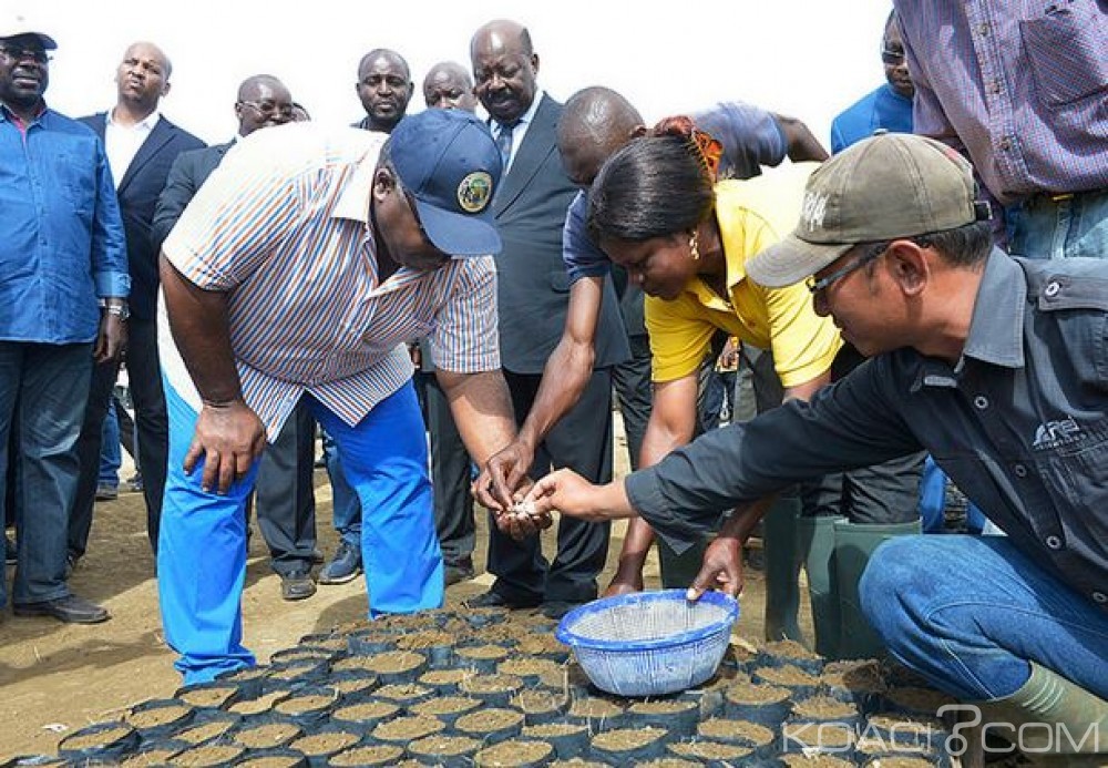 Gabon: Après l'Ogooué Ivindo et le Woleu Ntem, Ali Bongo lance «Graine» dans la Ngounié