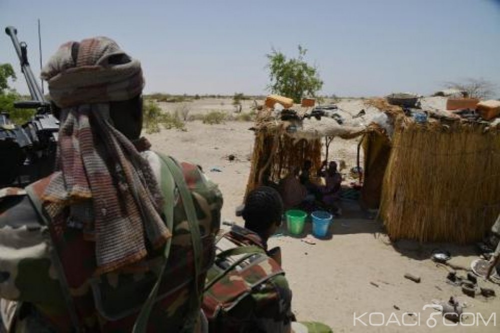 Niger: Des positions de Boko Haram bombardées par l'armée de l'air