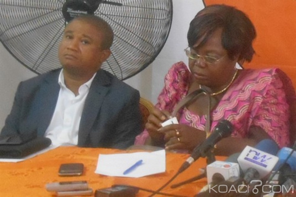 Togo : Article 497 du nouveau Code pénal : Des partis politiques irrités après la presse