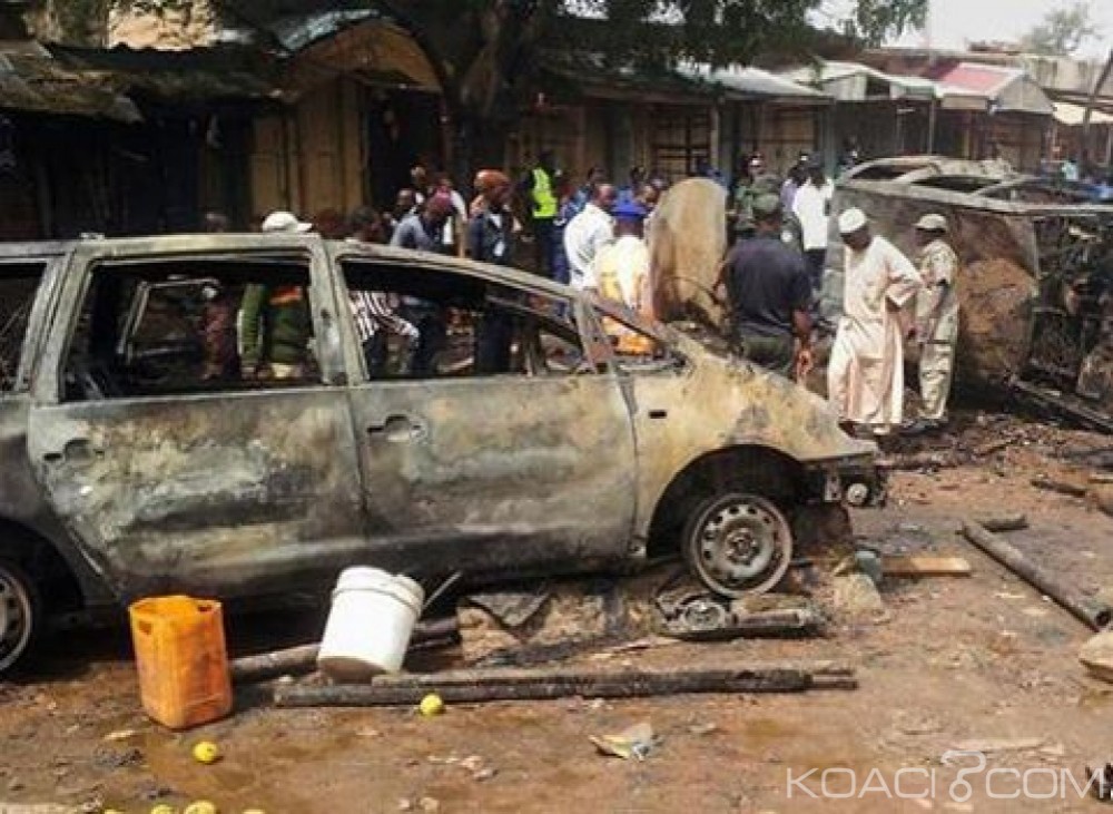 Cameroun: Une dizaine d'éléments présumés de Boko Haram tués dans l'explosion d'une mine