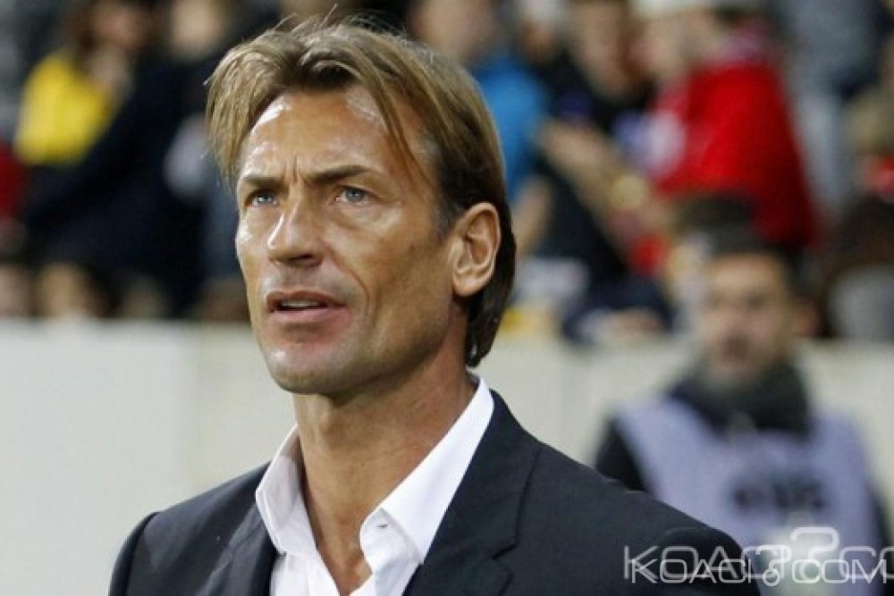 Algérie: Hervé Renard remercié par Lille, vers un retour en Afrique ?