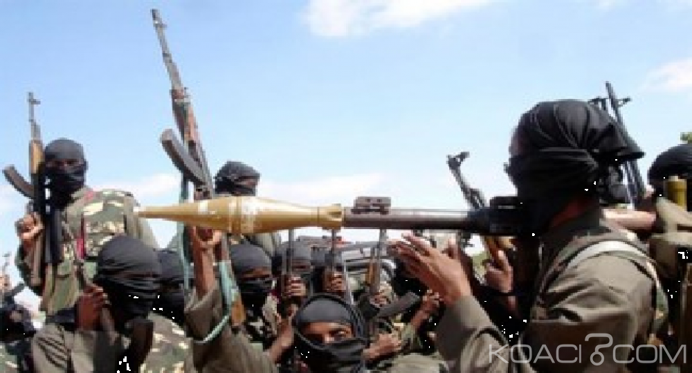 Niger: L'armée dit avoir  repoussé une attaque  de Boko Haram à  Bosso