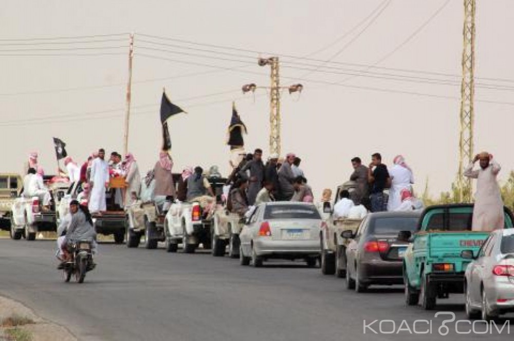 Egypte: Daesh dit avoir introduit une bombe  dans l'avion russe