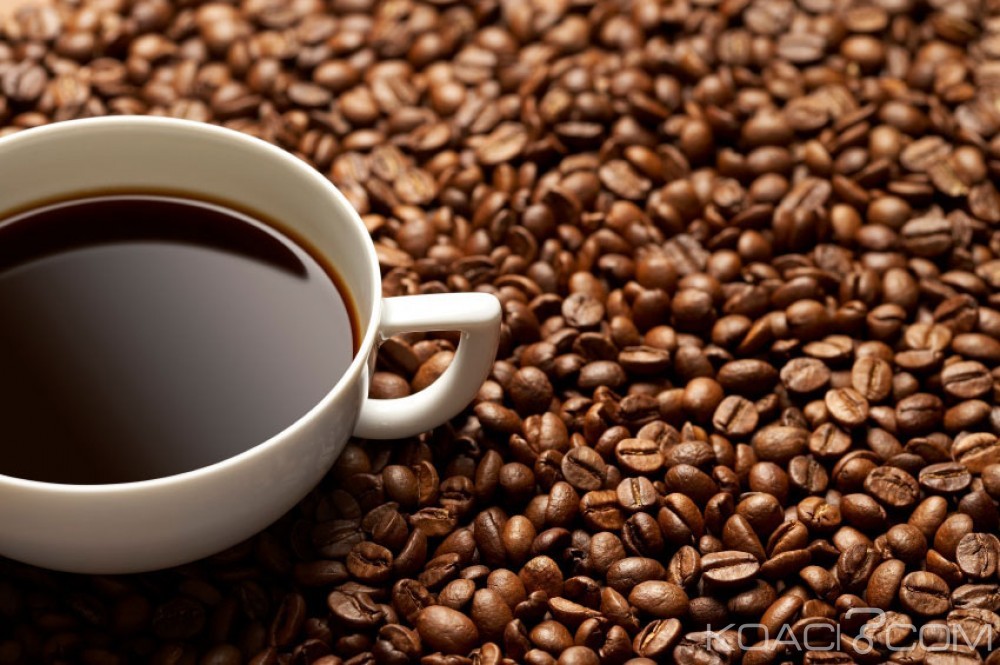 Côte d'Ivoire: Le CNRA annonce un super nouveau café pour relancer la filière