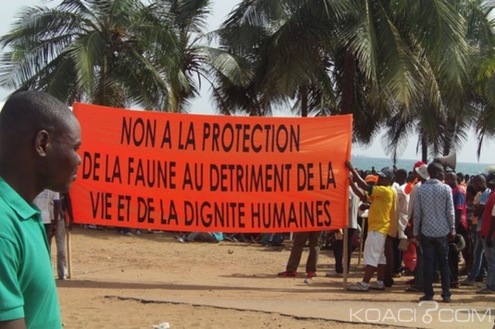 Togo: Pour Mango, le CAP 2015 et des «Mangolais» crient justice et réparation