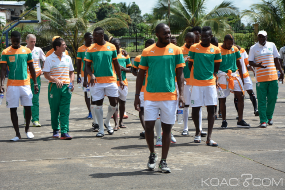 Côte d'Ivoire: Classement FIFA, les éléphants 19è mondial et rois d'Afrique