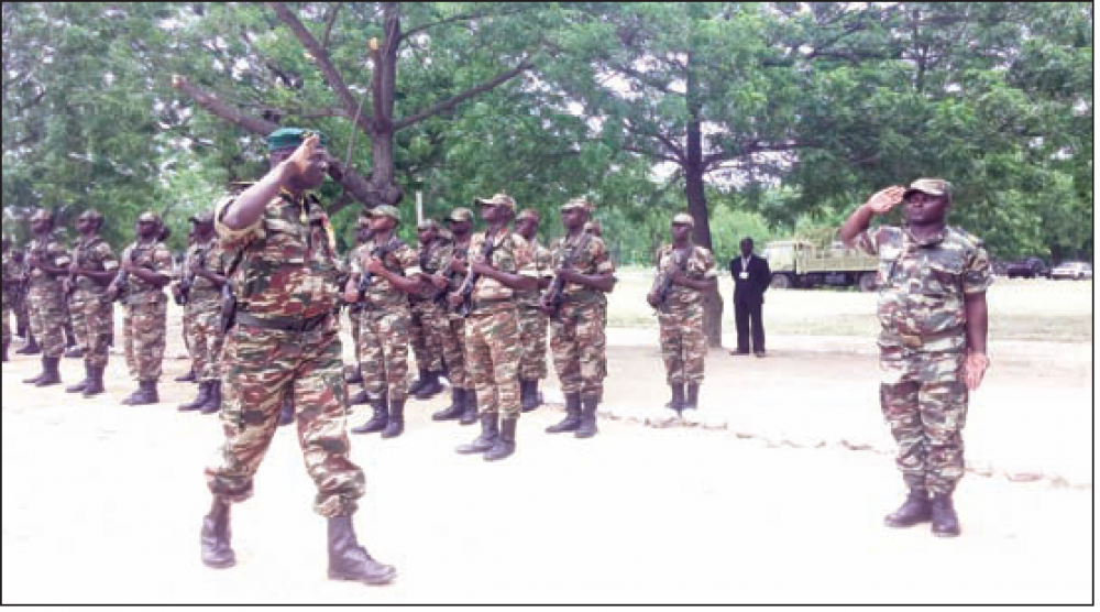 Cameroun : Guerre contre Boko Haram, la Force multinationale mixte est entrée en action