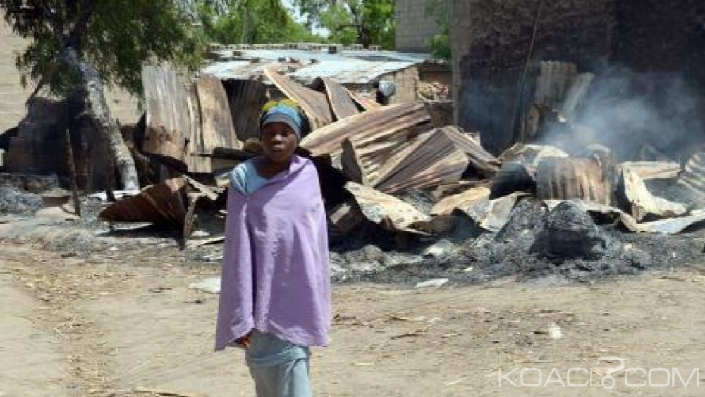 Nigeria: Boko Haram incendie 100 habitations et vole 200 tête de bétail dans un village