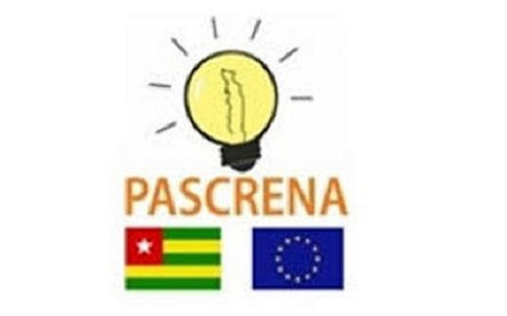 Koacinaute: Pascrena, le trouble-fête au sein de la société civile togolaise