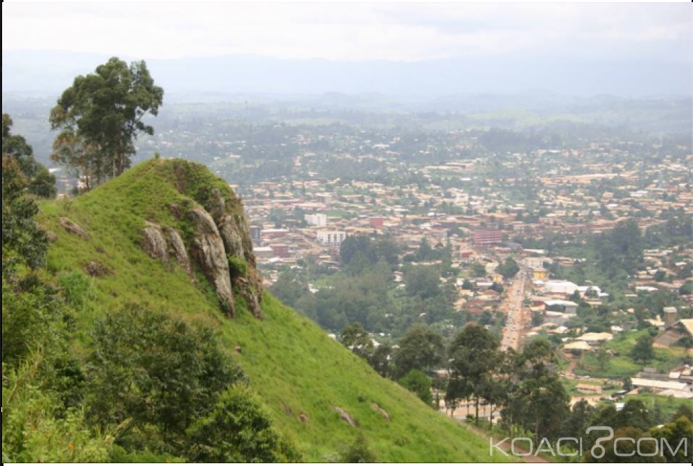 Cameroun: Kumba, 300 kg de cannabis saisis par la police
