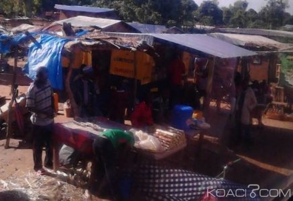 Tchad : Deux kamikazes tués dans un double attentat déjoué à  Bol
