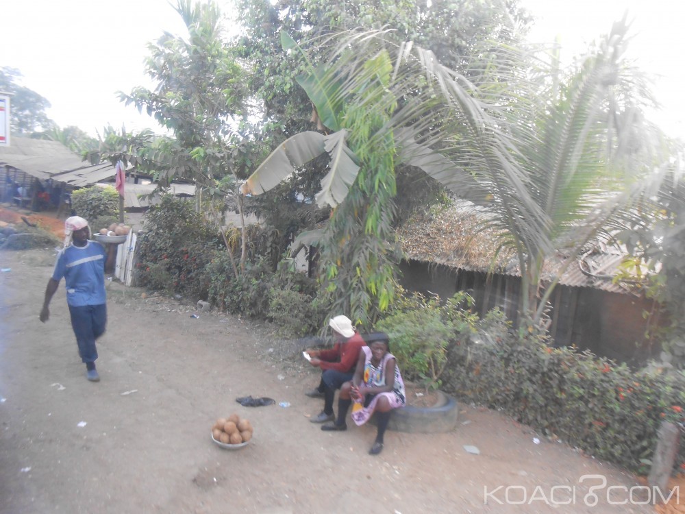 Cameroun : Exploitation minière, lancement sous peu du complexe industrialo-minier et métallurgique de Finfinda