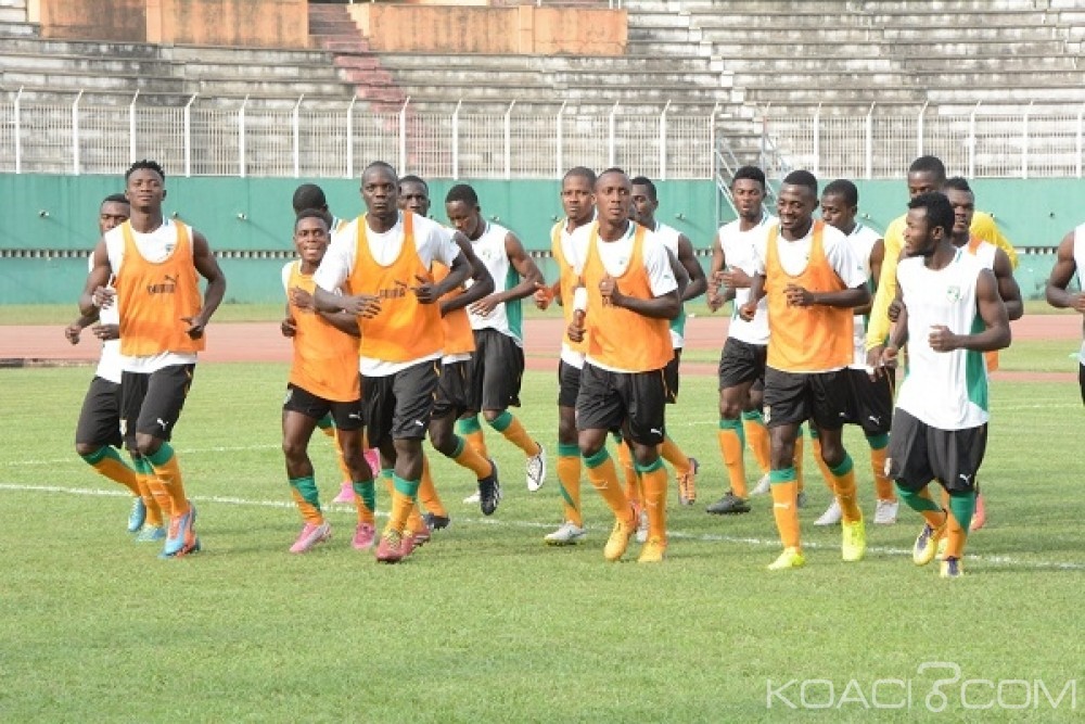 CHAN 2016: Les 23 éléphants pour Kigali connus