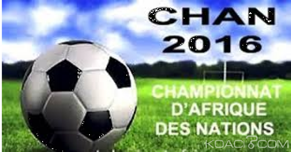 Cameroun: CHAN 2016 : les lions battent les Palancras Negras 1-0