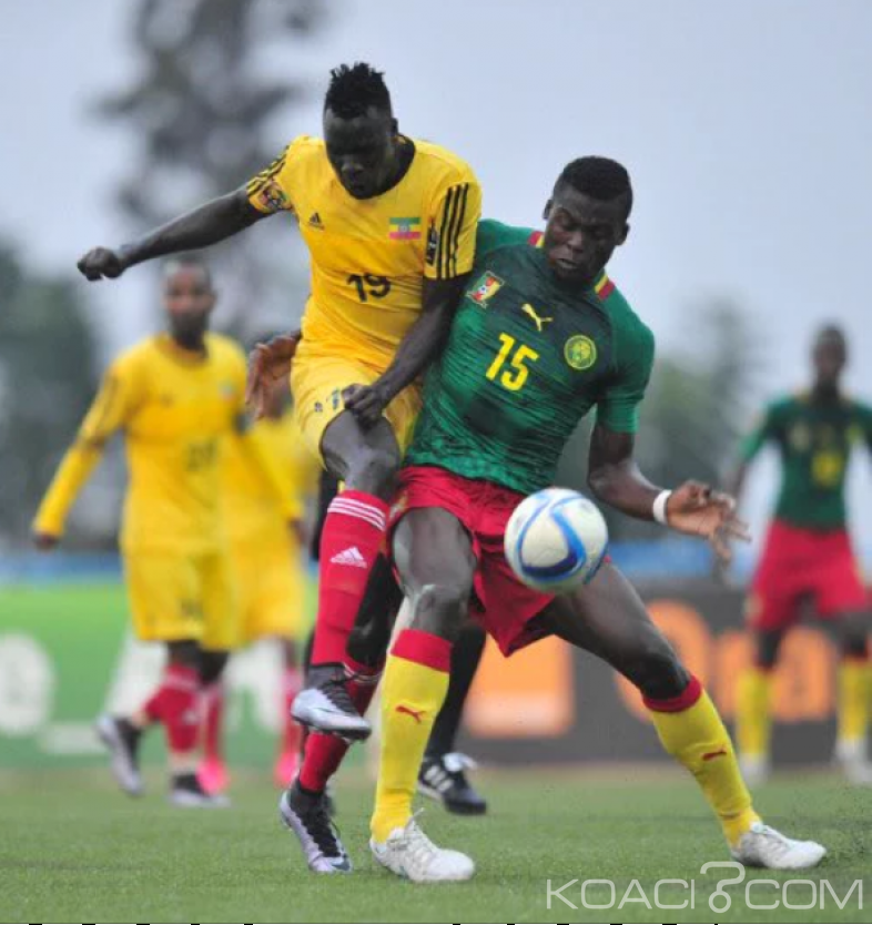 Cameroun: CHAN 2016, les lions battent les léopards 3-1 et se qualifient pour affronter les éléphants