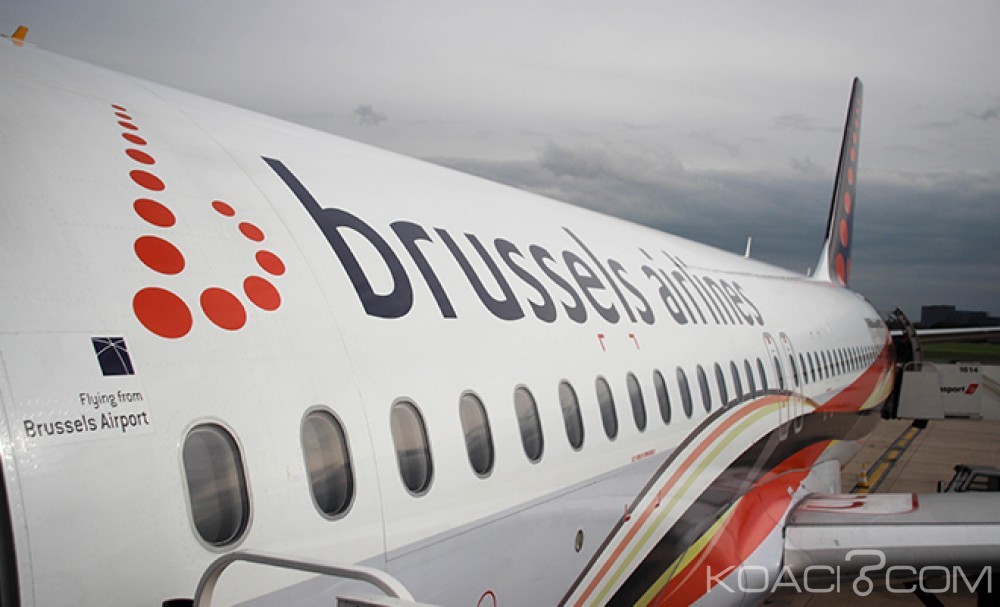 Maroc : Un avion de Brussels Airlines fait  demi-tour à  cause d'un oiseau