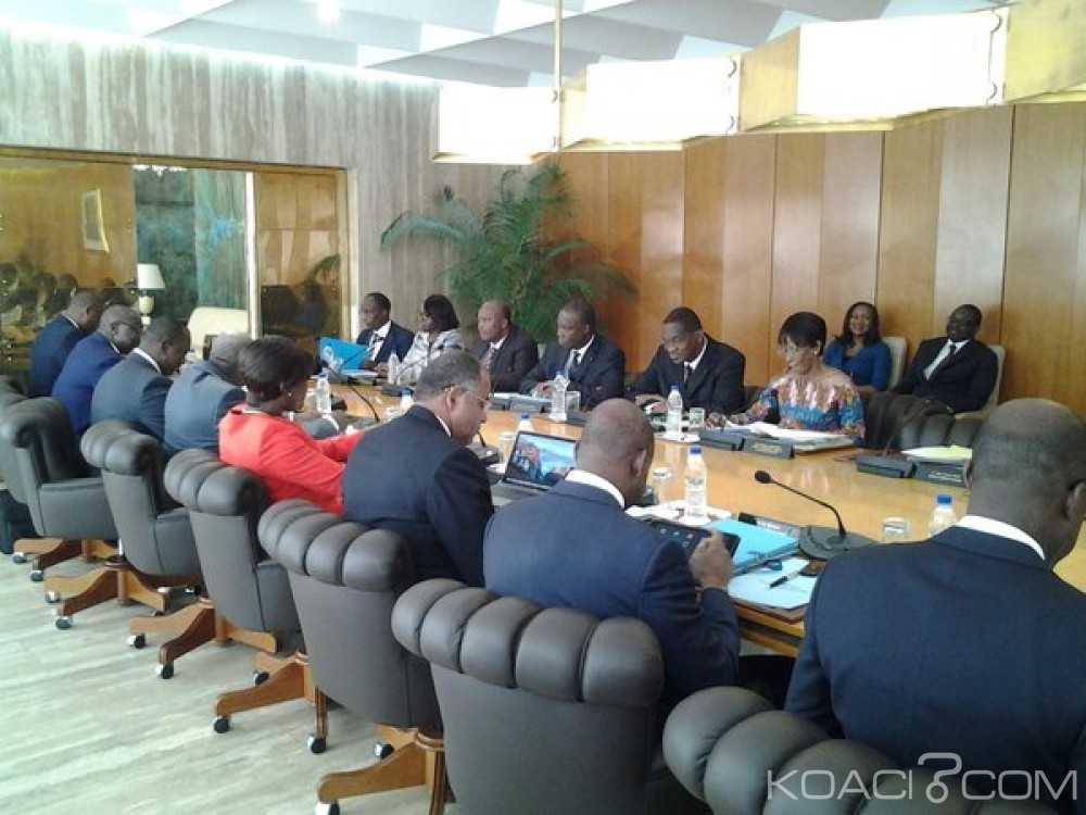Côte d'Ivoire: Le prix bord champ du kilo d'anacarde fixé à  350 FCFA, l'ouverture de la campagne commerciale prévue le 15 février